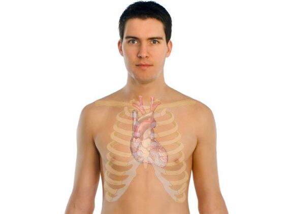 como afectan os parasitos aos órganos humanos