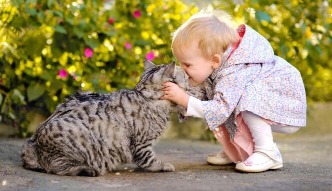un neno bica un gato e inféctase de vermes